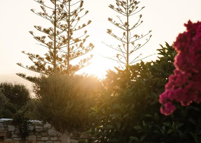 Votsalo - Semi Based With Indoor Garden - Part Of White Dunes Luxury Boutique 4* Naoussa