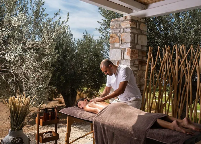 Votsalo - Semi Based With Indoor Garden - Part Of White Dunes Luxury Boutique Naoussa