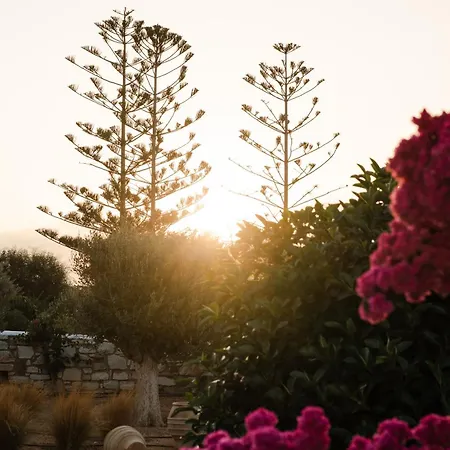 Votsalo - Semi Based With Indoor Garden - Part Of White Dunes Luxury Boutique * Naousa (Paros)