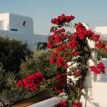 Votsalo - Semi Based With Indoor Garden - Part Of White Dunes Luxury Boutique *