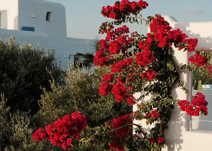 Votsalo - Semi Based With Indoor Garden - Part Of White Dunes Luxury Boutique 4*