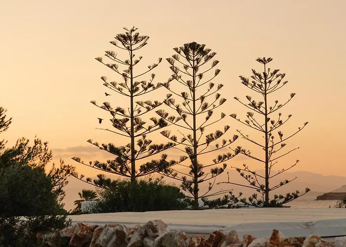 Oda ve Kahvaltı Votsalo - Semi Based With Indoor Garden - Part Of White Dunes Luxury Boutique Zambujeira do Mar